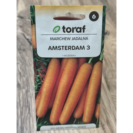Marchew jadalna Amsterdam 3